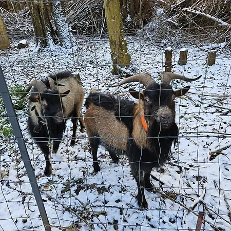 5km Etretat 3* Villainville